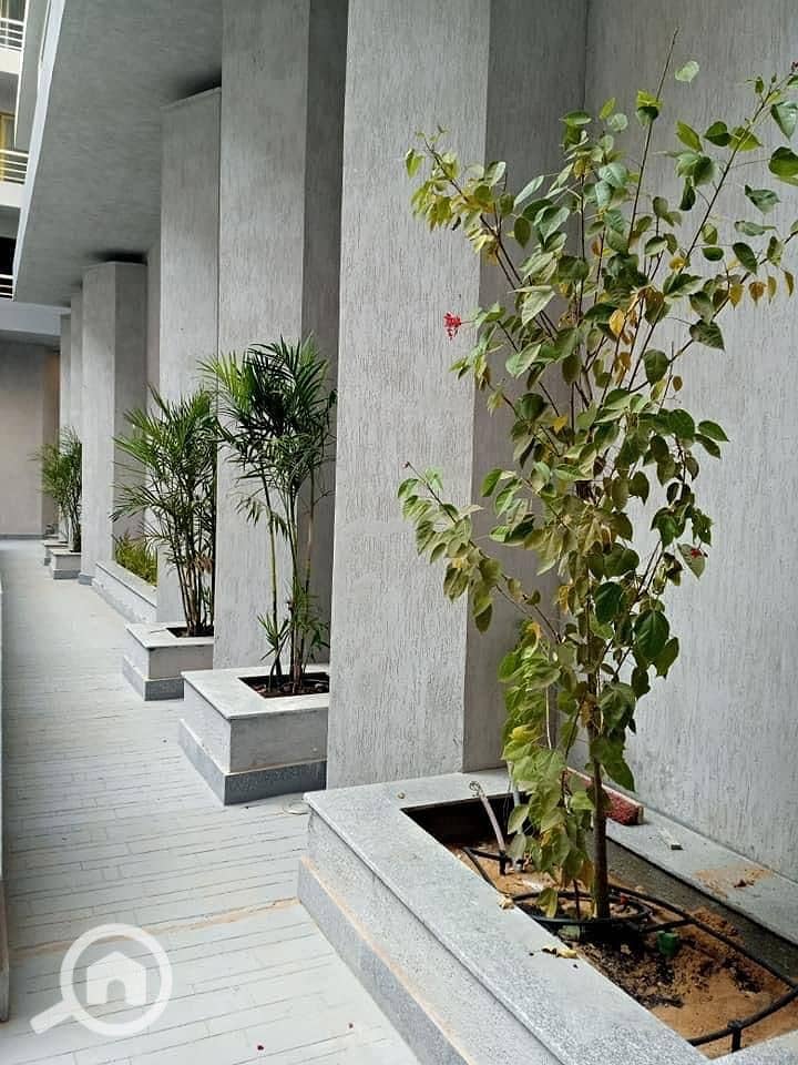 2 WhatsApp Image 2026-01-12 at 4.33. 46 PM (2). jpeg