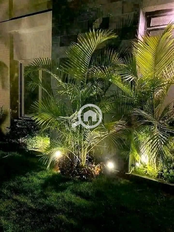 6 FB_IMG_1736633313825. jpg