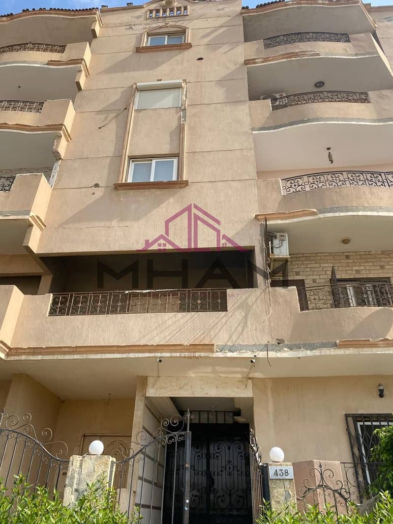 3 photo_5981101036585815074_y. jpg