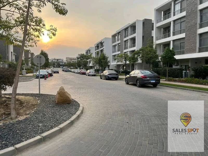 13 441880644_7641888662594013_7196913049675830465_n. jpg