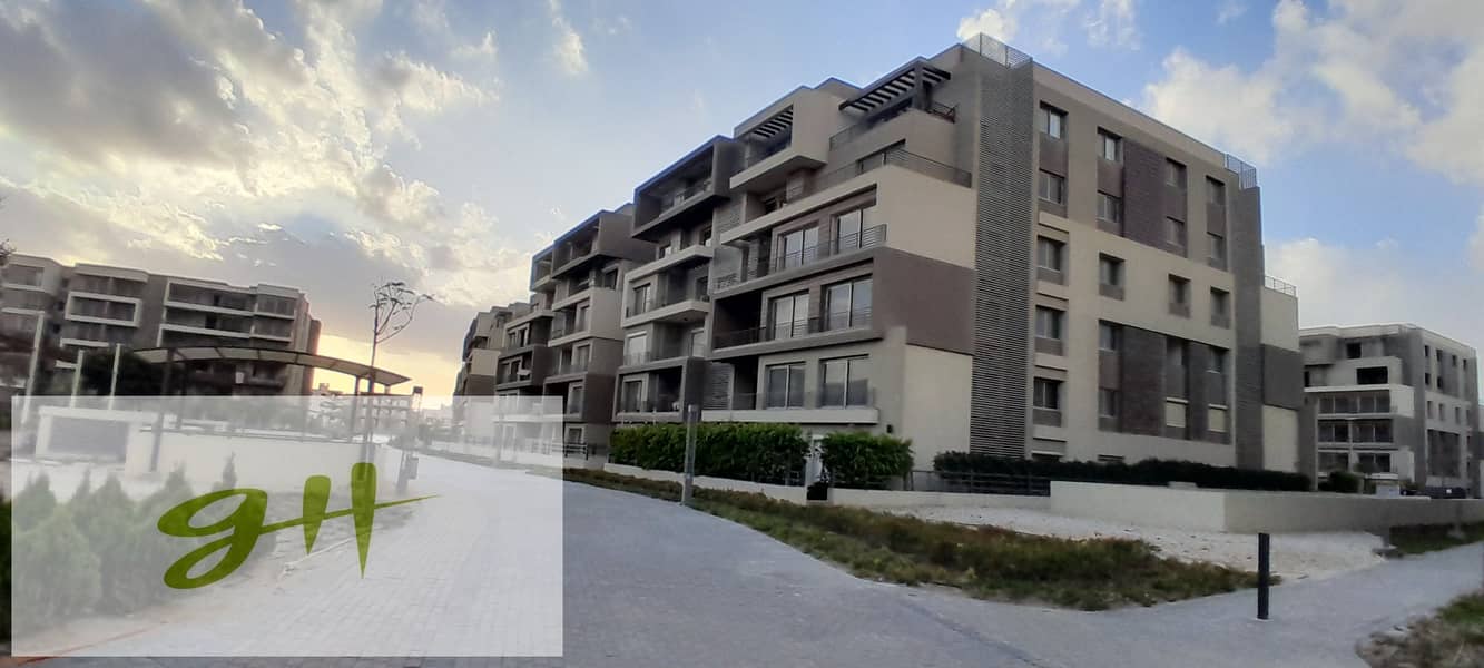 4 20260109_161929. jpg