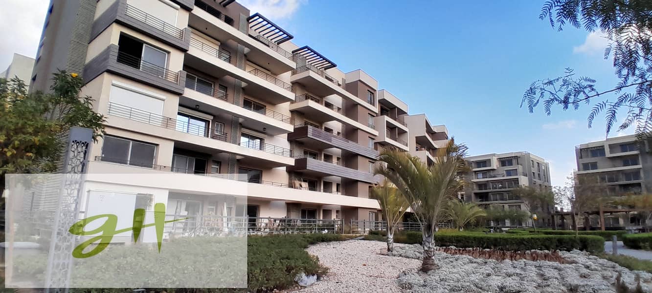 10 20260109_162451. jpg