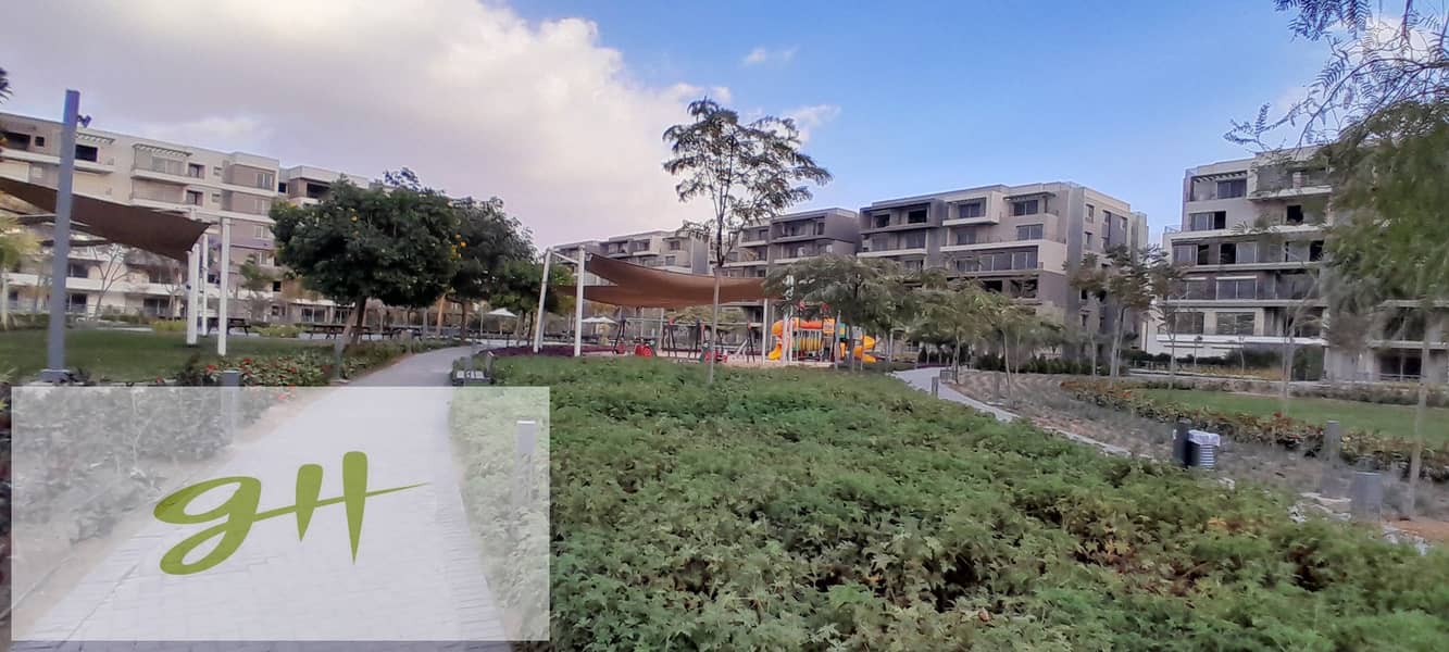 7 20260109_162109. jpg