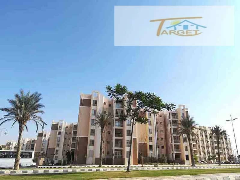 9 alessamy_FOR-SALE-AT-MADINATY-b7_42660. jpg