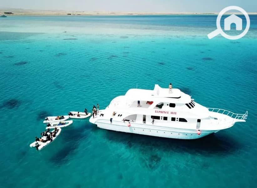 8 816941c0-a941-4cf8-a1d3-be67404cc2c8. jpeg