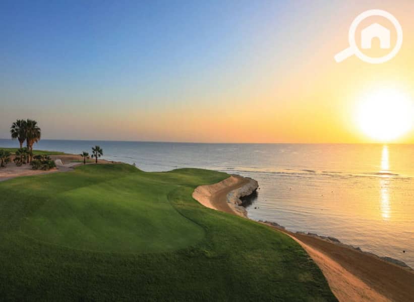 5 5dde9397-cd34-485a-9f0c-c0355be96be3. jpeg