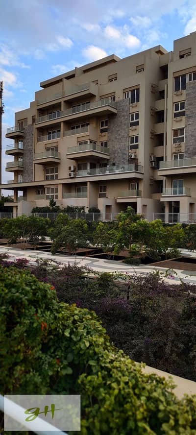 3 Bedroom Duplex for Sale in New Cairo, Cairo - IMG_٢٠٢٥١٢٢٩_١٦١٨٣٢. jpg