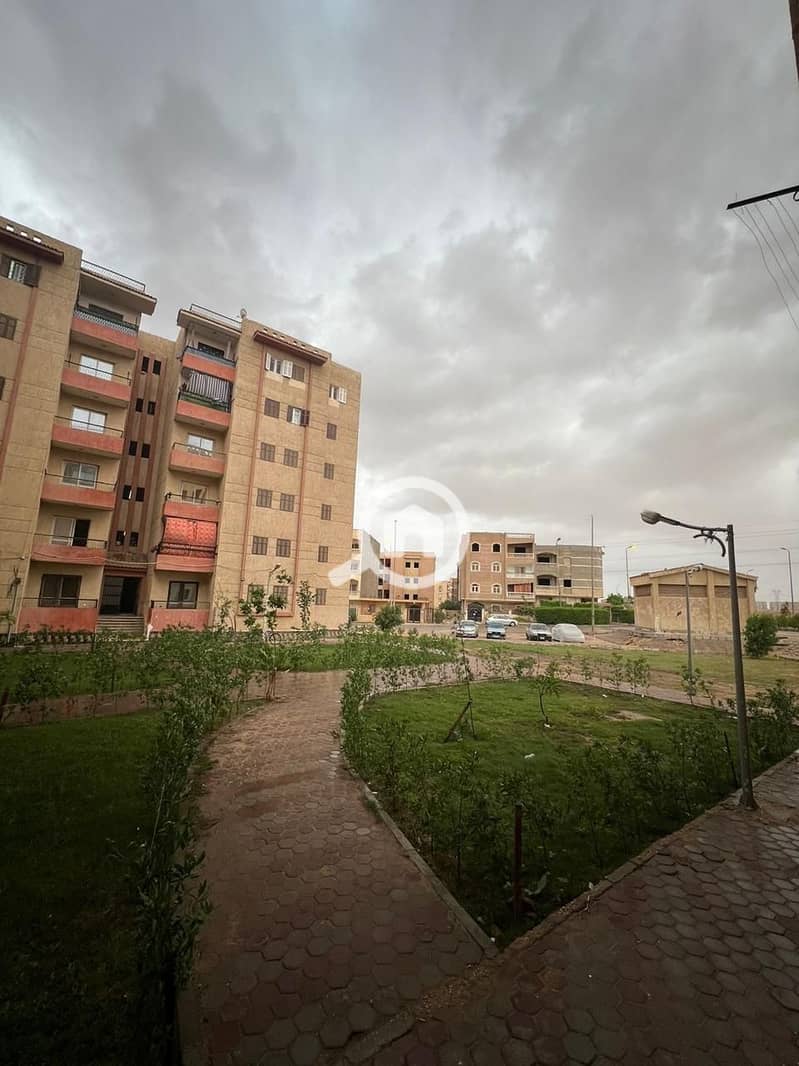 4 WhatsApp Image 2026-01-11 at 1.17. 09 AM. jpeg