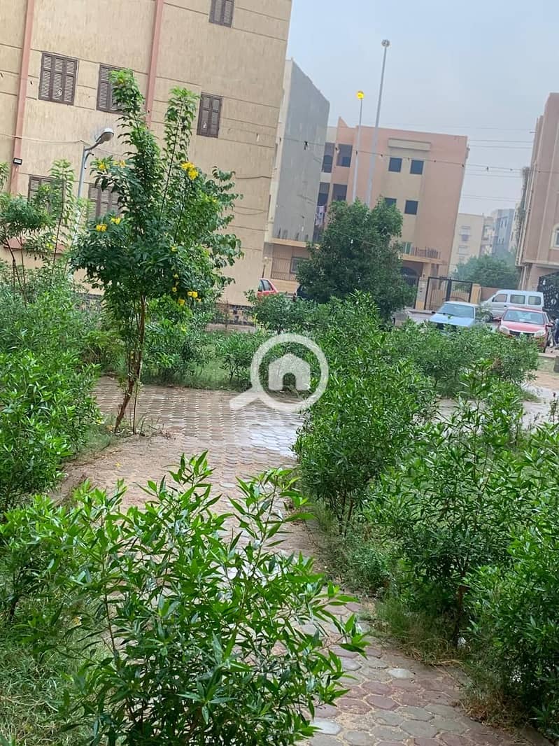 13 WhatsApp Image 2026-01-11 at 1.17. 05 AM (1). jpeg