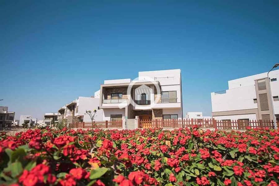 10 5e4d9a9d-603f-4a47-aae3-779e1b08145d. jpg