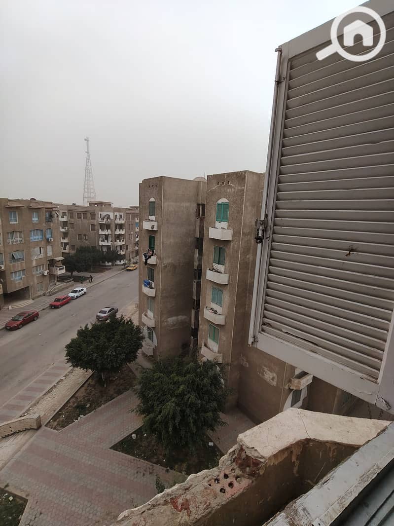 11 IMG20260112154812. jpg