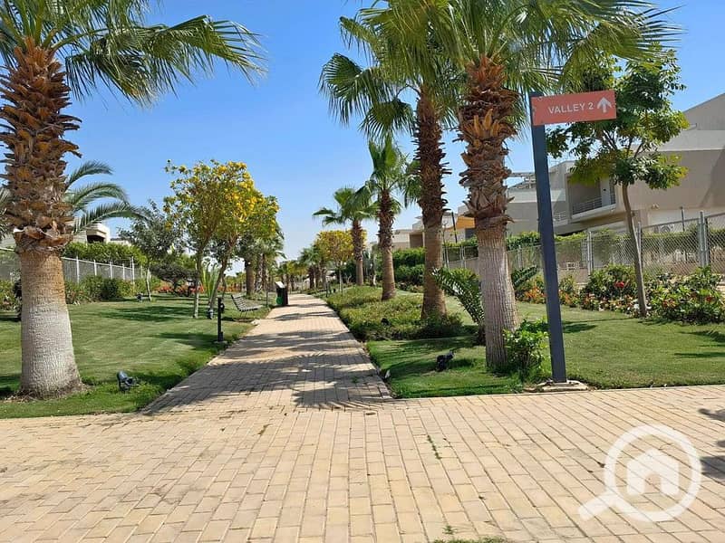 5 461393667_878933680884106_2987484186478708341_n. jpg