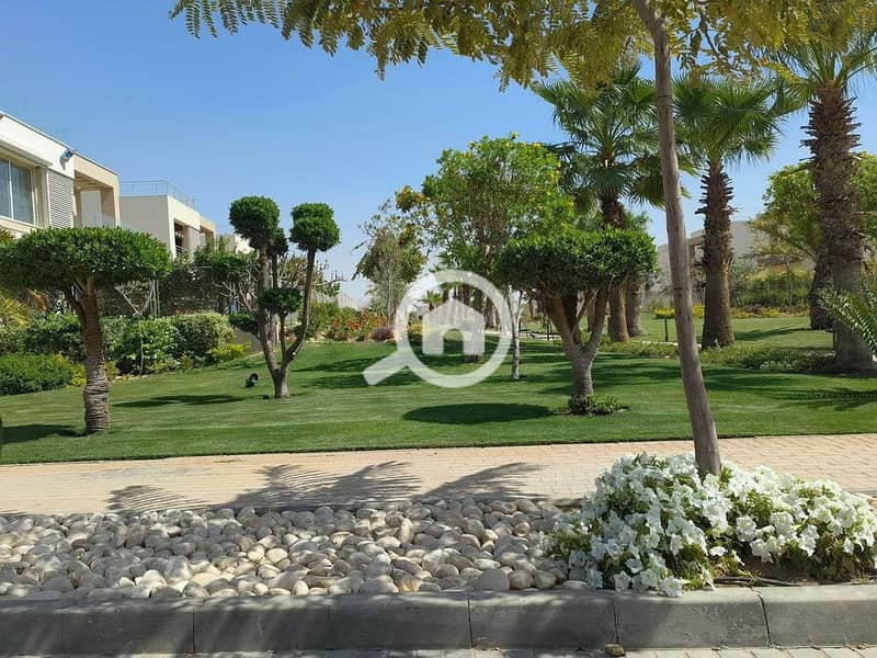 6 461395855_431932102770863_7704704401610722479_n. jpg