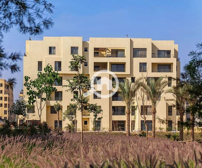 4 WhatsApp Image 2024-11-15 at 4.18. 06 PM (1). jpeg