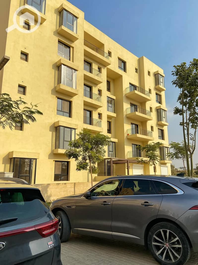 6 FB_IMG_1742385598623. jpg