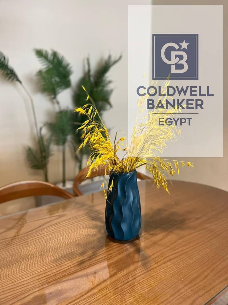 11 3388435f-0fe3-4930-9be9-52ce75fa2936. jpg