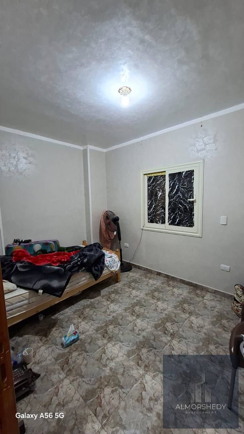 4 1b670b3e-e7e4-4809-934a-439c6fe6f741. jpg