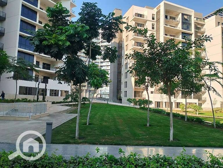 15 Screenshot_12-1-2026_17193_ - Copy. jpeg