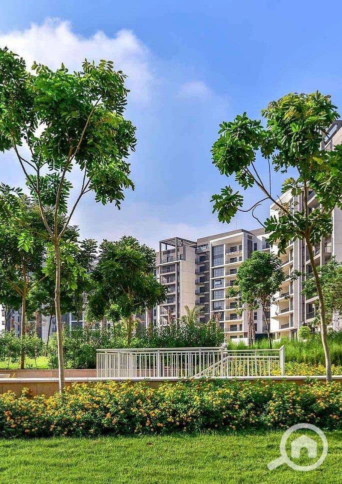 16 Screenshot_12-1-2026_17209_ - Copy. jpeg