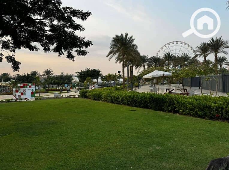 17 Screenshot_12-1-2026_17219_ - Copy. jpeg