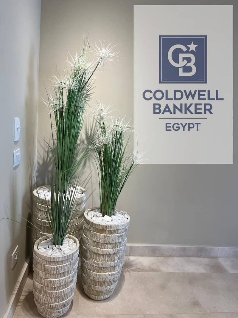 5 38cfc86b-e223-4422-b329-a856d1837338. jpg