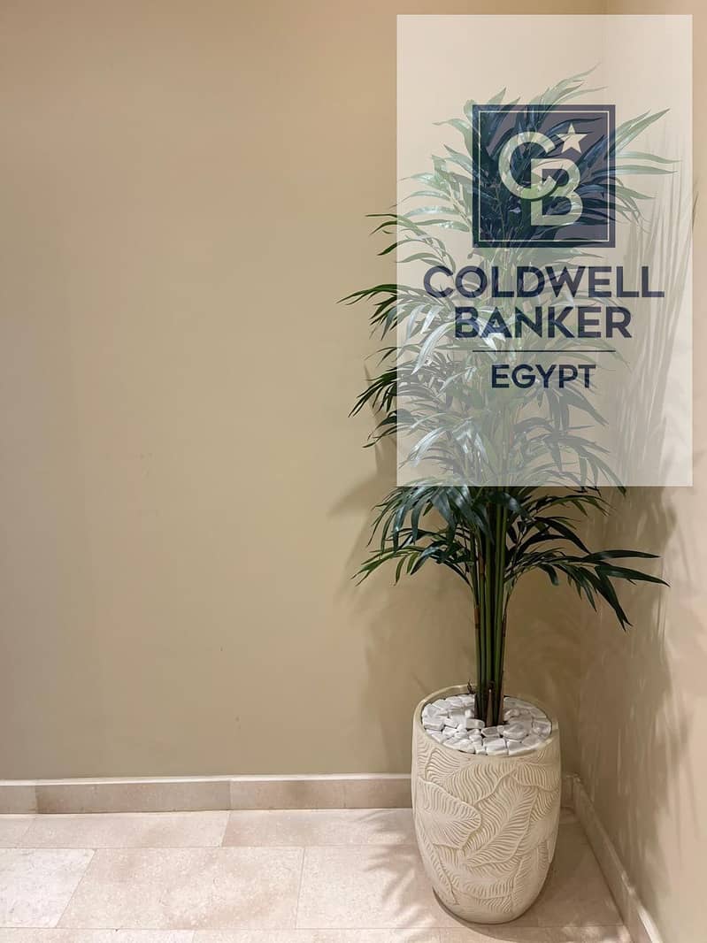 9 90612ee5-2ddf-48b3-b7a8-ec0c9528a75b. jpg