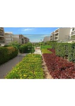 3 images (2). jfif. jpg