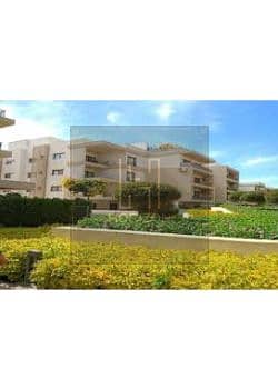 5 images (3). jfif. jpg