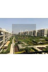 4 images (1). jfif. jpg