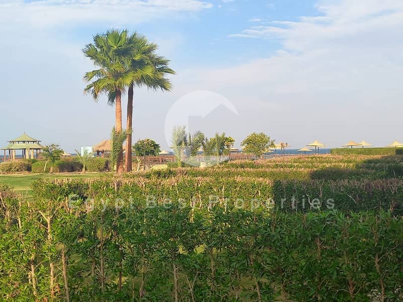 5 8e6a9ed9-f50a-449f-98c3-ac9753a9cf07. jpg