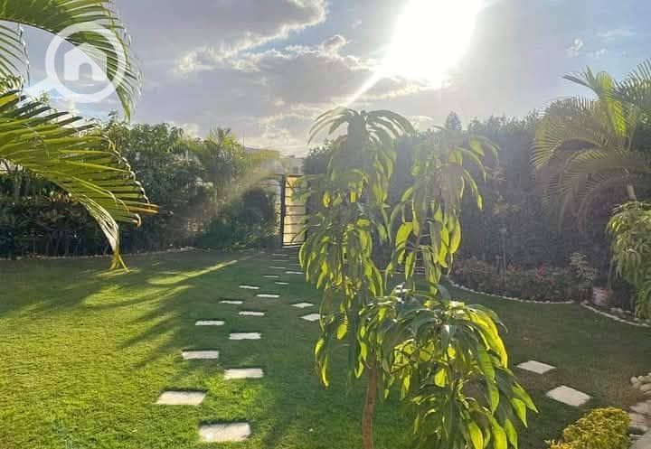 10 FB_IMG_1746835407745. jpg