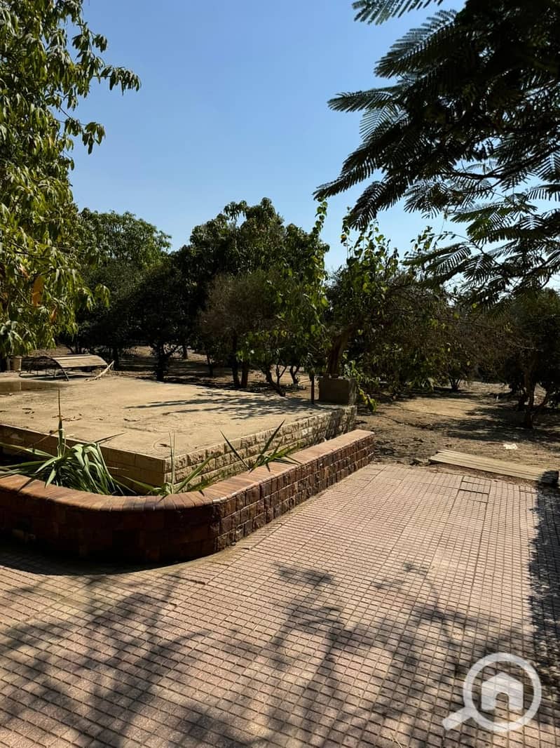 5 WhatsApp Image 2026-01-08 at 1.50. 43 AM. jpeg