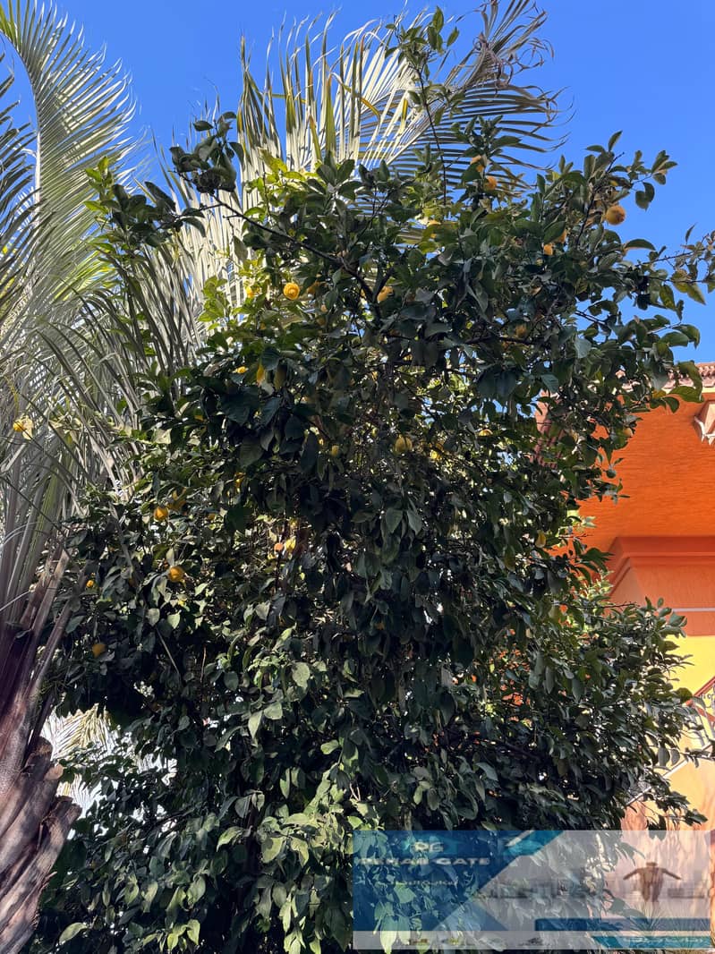 23 WhatsApp Image 2026-01-12 at 10.55. 55 AM. jpeg