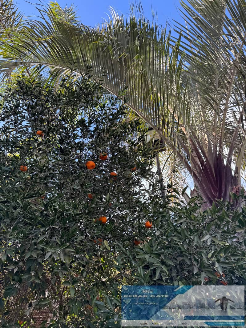 24 WhatsApp Image 2026-01-12 at 10.55. 54 AM (1). jpeg