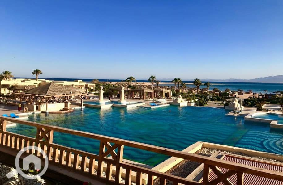 4 photo_2024-02-25_13-27-01. jpg