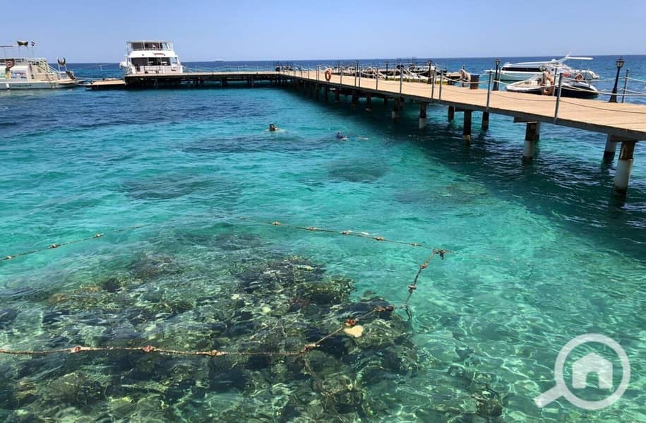 5 photo_2024-02-25_13-27-10. jpg