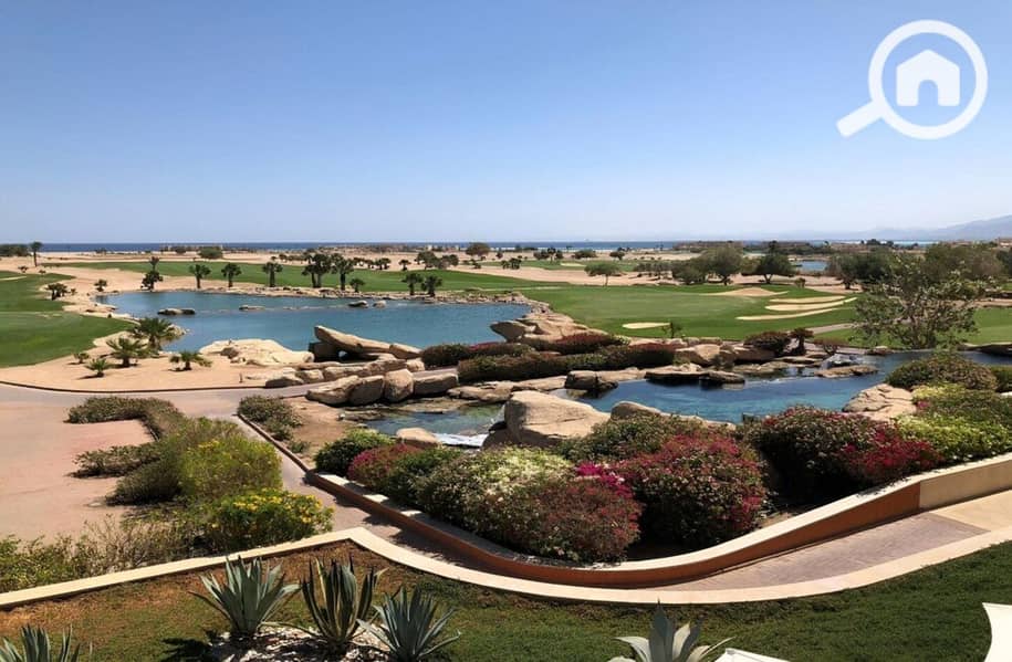 6 photo_2024-02-25_13-27-13. jpg