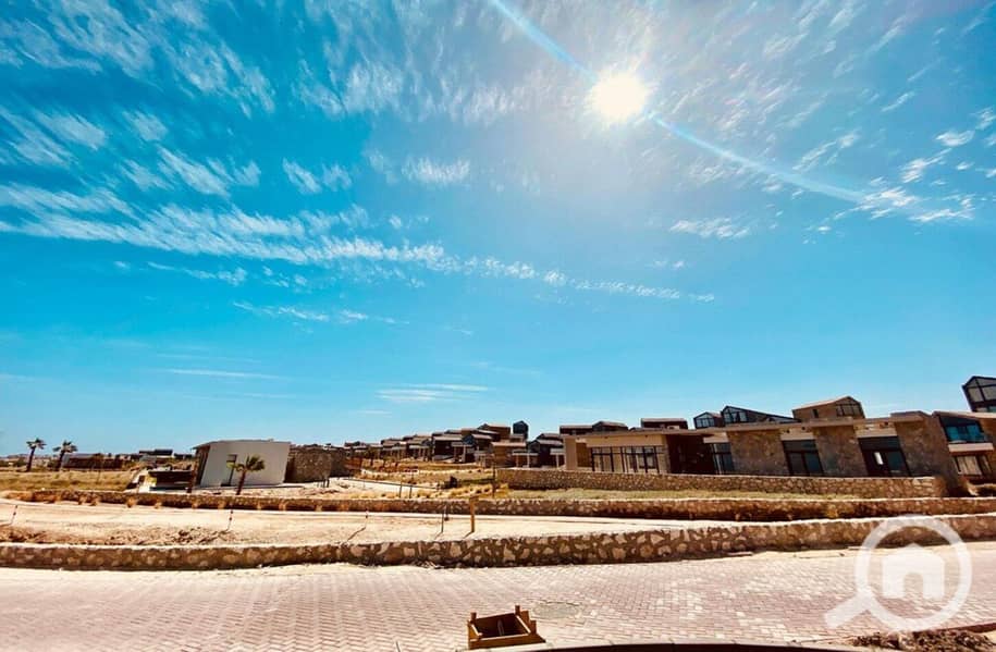 8 photo_2024-03-04_13-38-17. jpg