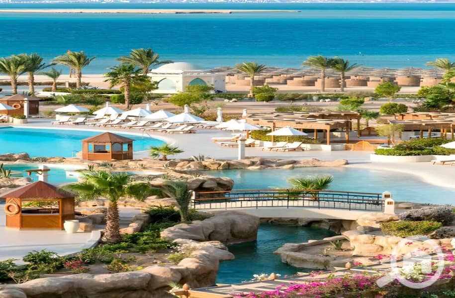 11 photo_2024-02-25_13-26-22. jpg