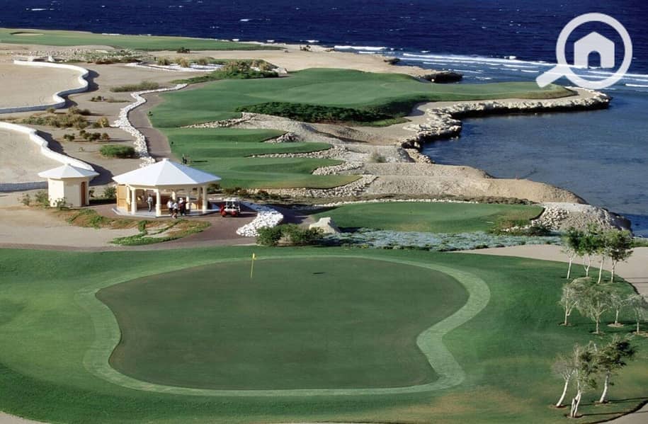 12 photo_2024-02-25_13-26-26. jpg