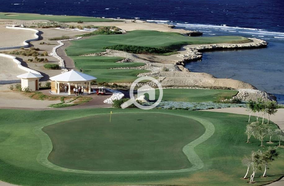 4 photo_2024-02-25_13-26-26. jpg