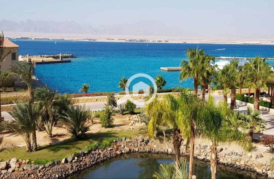 6 photo_2024-02-25_13-26-33. jpg