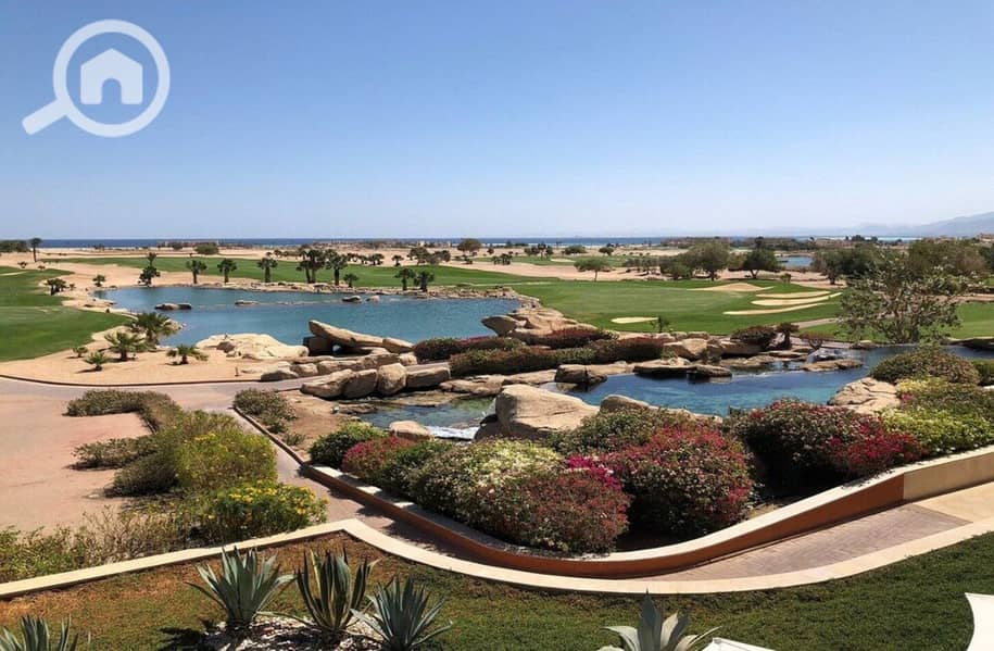 10 photo_2024-02-25_13-26-46. jpg