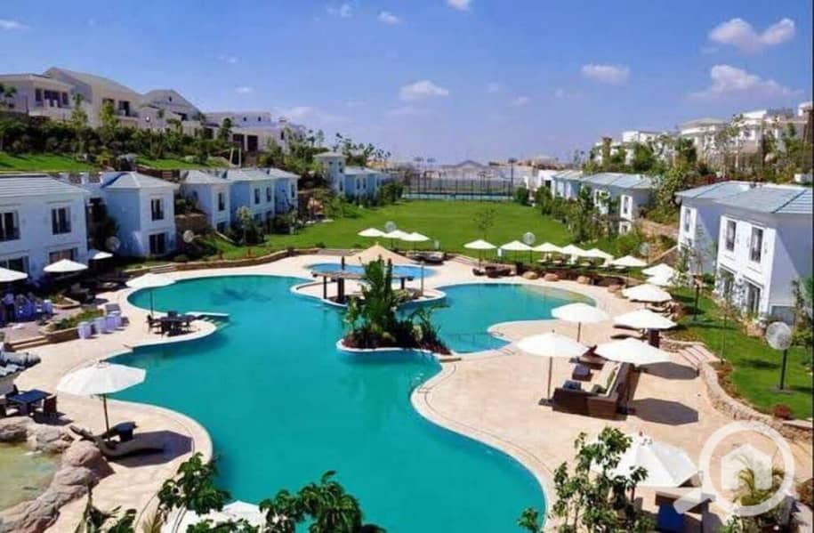 12 photo_2024-02-25_13-27-07. jpg