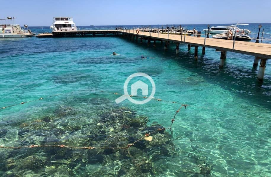 13 photo_2024-02-25_13-27-10. jpg