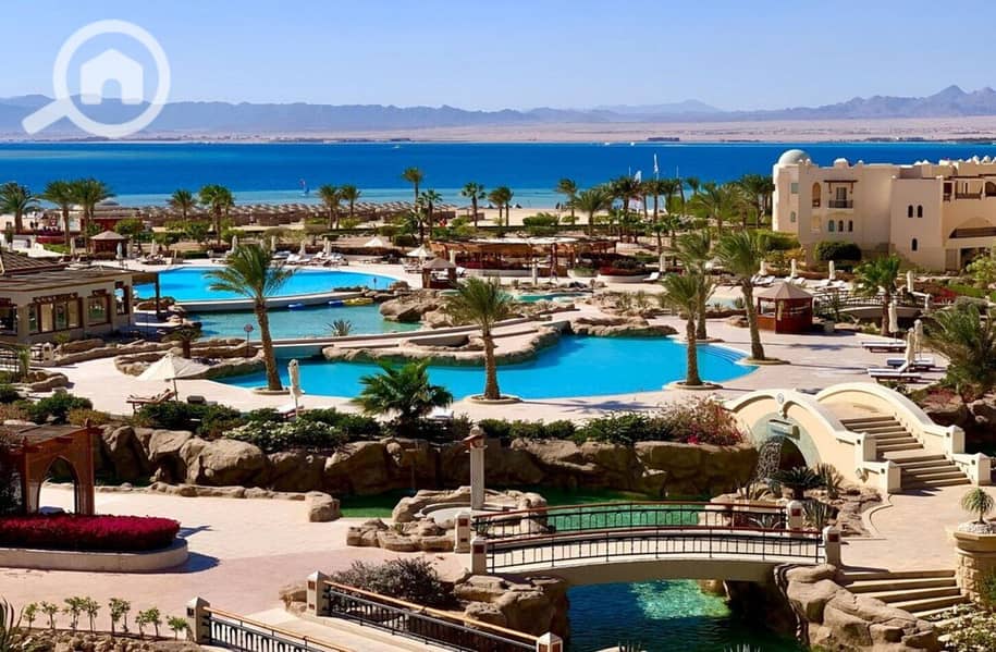 15 photo_2024-02-25_13-27-15. jpg