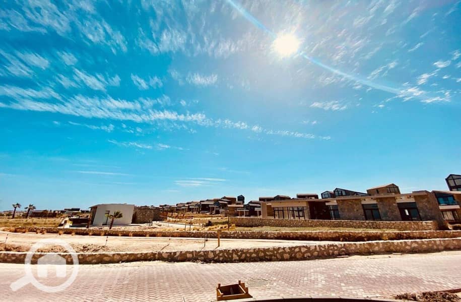 16 photo_2024-03-04_13-38-17. jpg