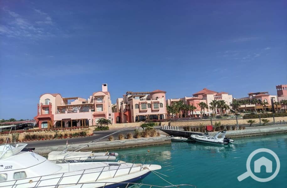 17 photo_2024-03-04_13-39-53. jpg