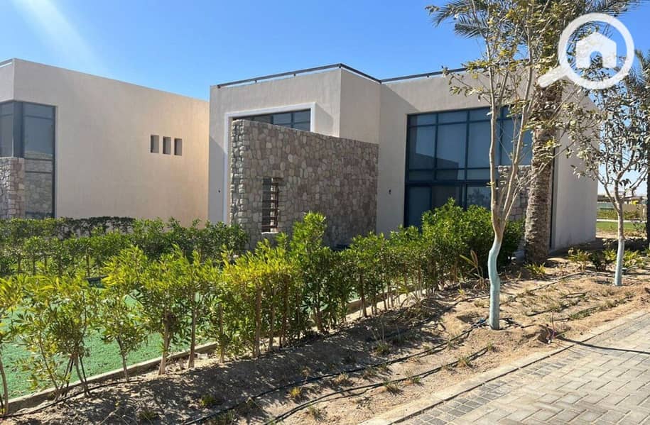 19 photo_2024-03-04_13-40-00. jpg