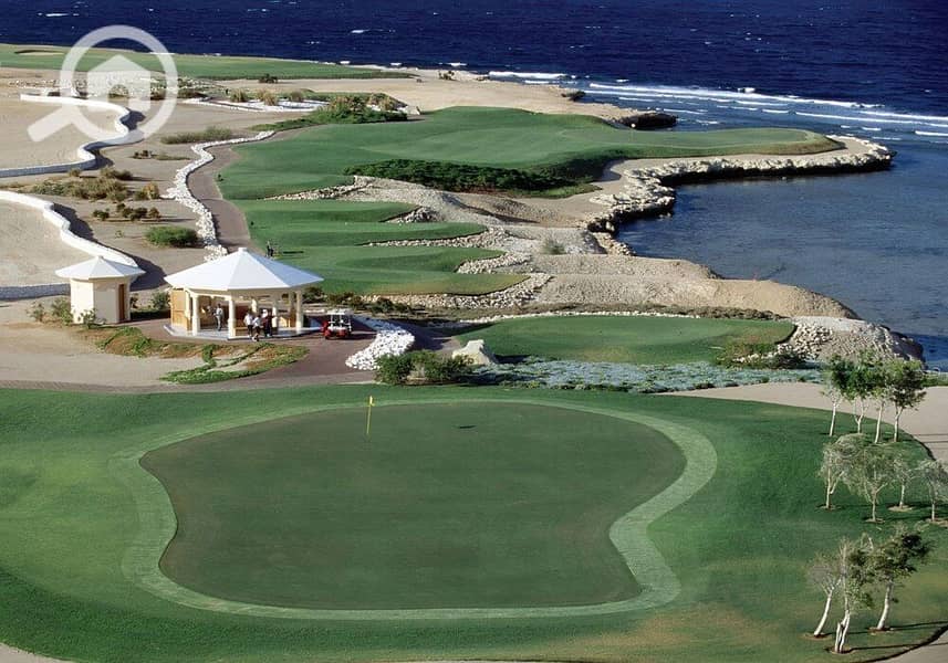 3 photo_2024-02-25_13-26-26. jpg